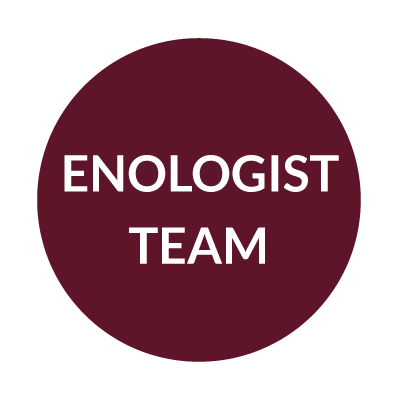 Enologist Team
